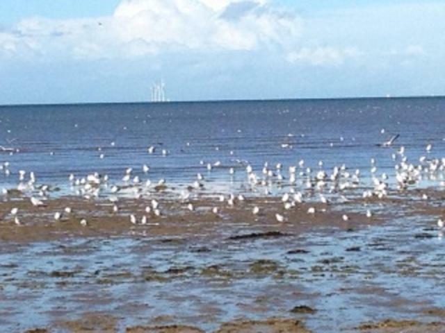 Seaways Cottage Hoylake Buitenkant foto
